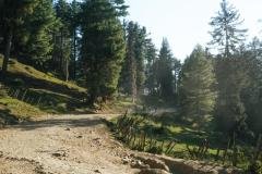 Kashmir-Edited-02