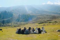 Kashmir-Edited-15