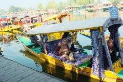 Kashmir-Edited-22