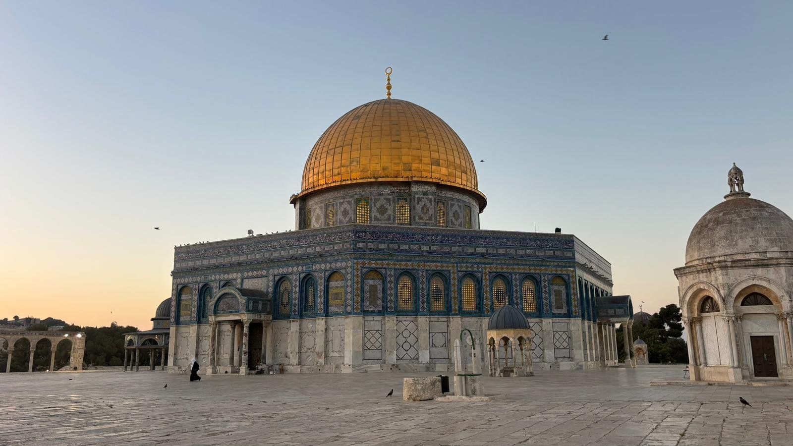 WhatsApp Image 2025-11-26 at 16.35.12_1da86b0e